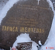 Шевченківські дні в БДМУ
